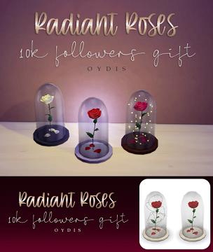 Radiant Roses