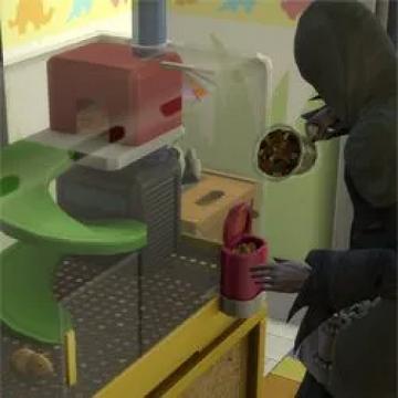 minorpetfillfoodtweak