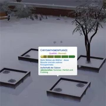 plantsgodormantinwinteronly