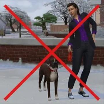 shorterdogwalks