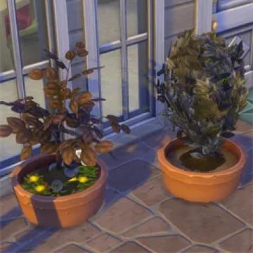 gardeningfix