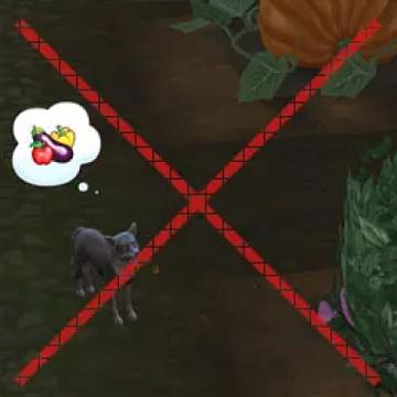 foxchallengeless