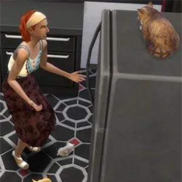 scoldpetsfix