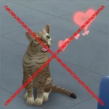 petinheattweak
