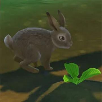 rabbitsdontage