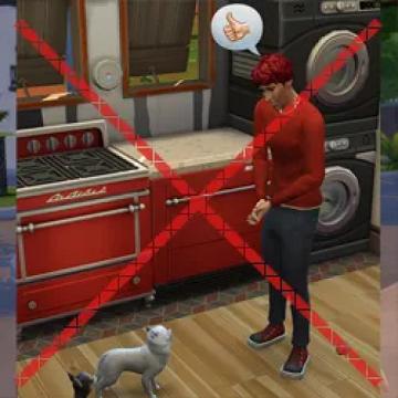 lessautonomouspraisepet
