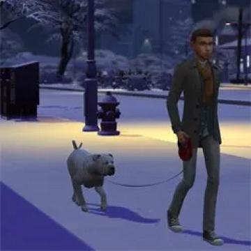 dogwalkersinotherworlds