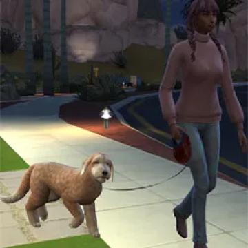 dogwalktweak