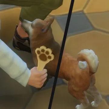 moreefficientpetbrushing