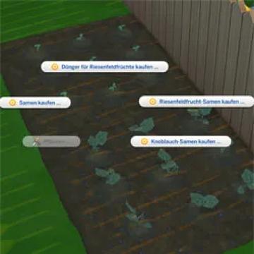 nouprootplant