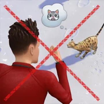 lessrudetowardspets
