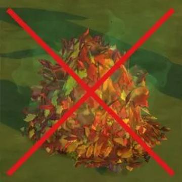 leafpile_nofreshnessdecay