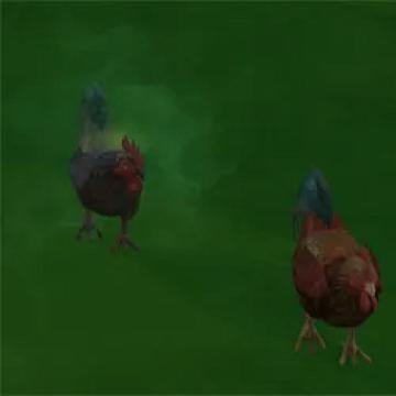 nostinkygreenchickens