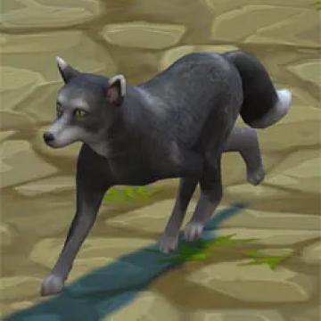 foxesdontdie