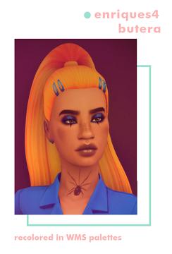 Enriques4 Butera Recolored