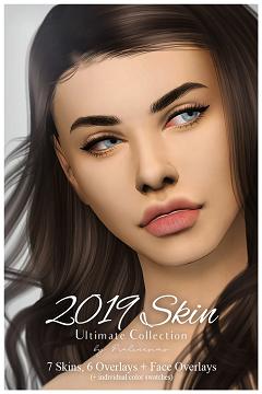 2019 SKIN Ultimate Collection