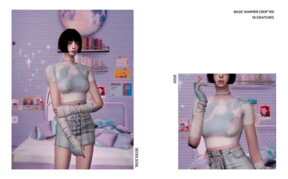 Basic Warmer Crop Tee