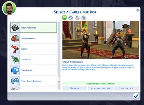 Stunt Performer Career