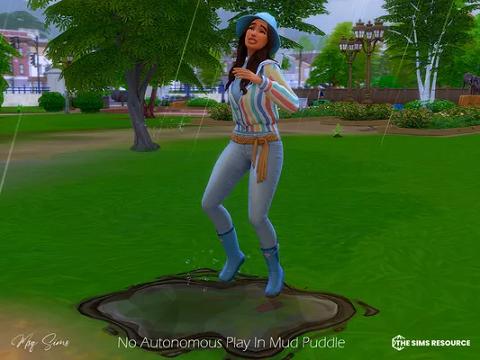 No Autonomous Play In Mud Puddle