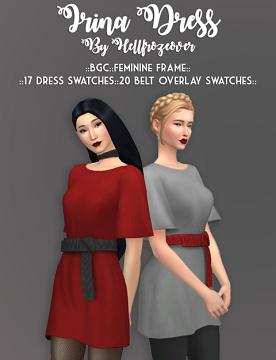 Irina Dress and Belt Overlay