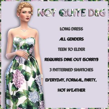 Not Quite D&G Dress