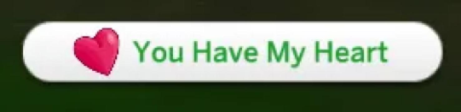 You Have My Heart