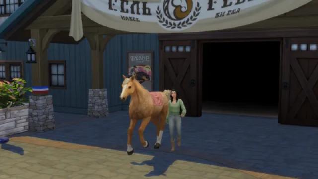 No Cooldown Between Horse Competitions 