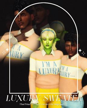 luxury sweater ·