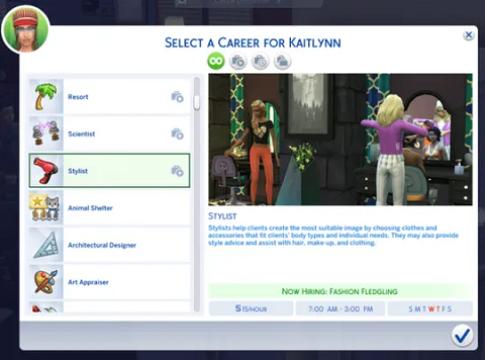 Stylist Career 2