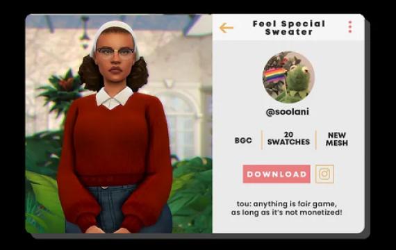 Feel Special Sweater
