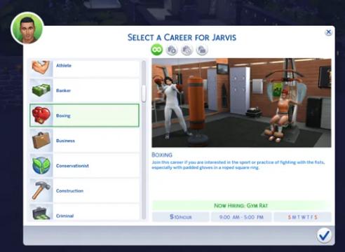 Boxer Career