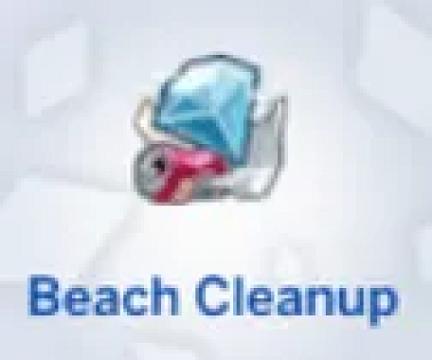Beach Cleanup Tradition