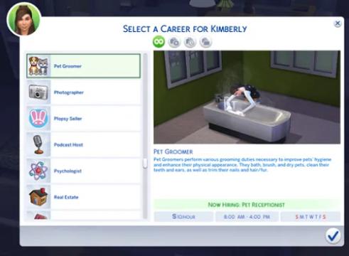 Pet Groomer Career