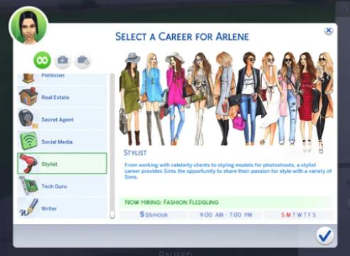 Stylist Career
