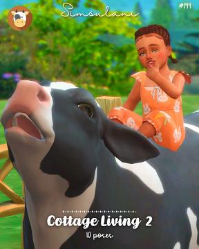 #144 Pose Pack Cottage Living 2