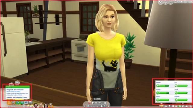 More Manageable Pregnancies [Amended Motive Decay]