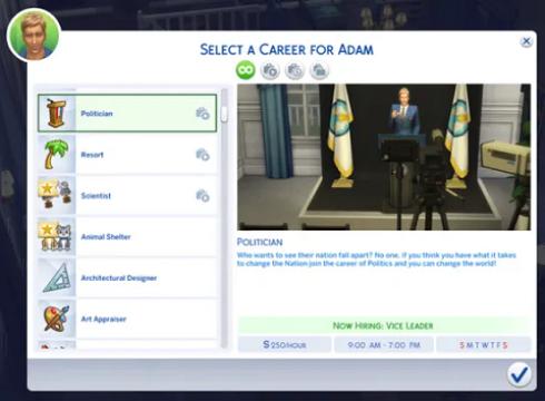 Politician Career