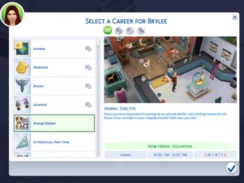 Animal Shelter Career