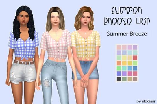 Summer Breeze Top
