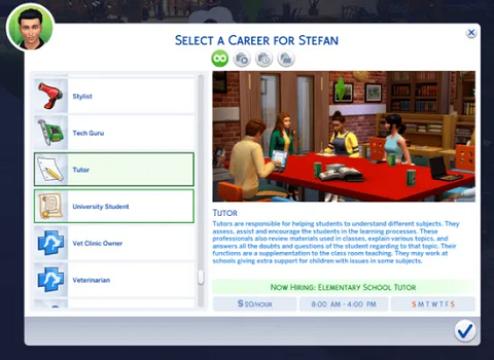 Tutor Career