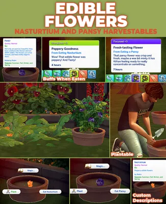 Nasturtium & Pansy - New Custom Harvestables