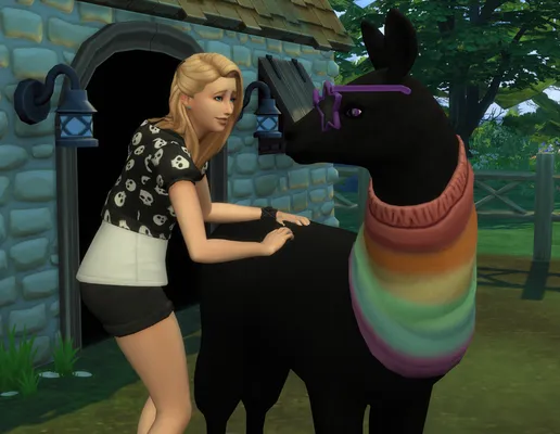 Custom Dark Llama
