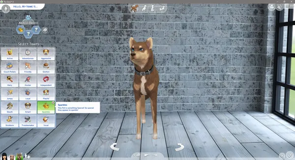 Pet Sparkles!