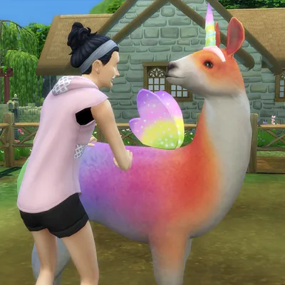 Improved Custom Rainbow Llama