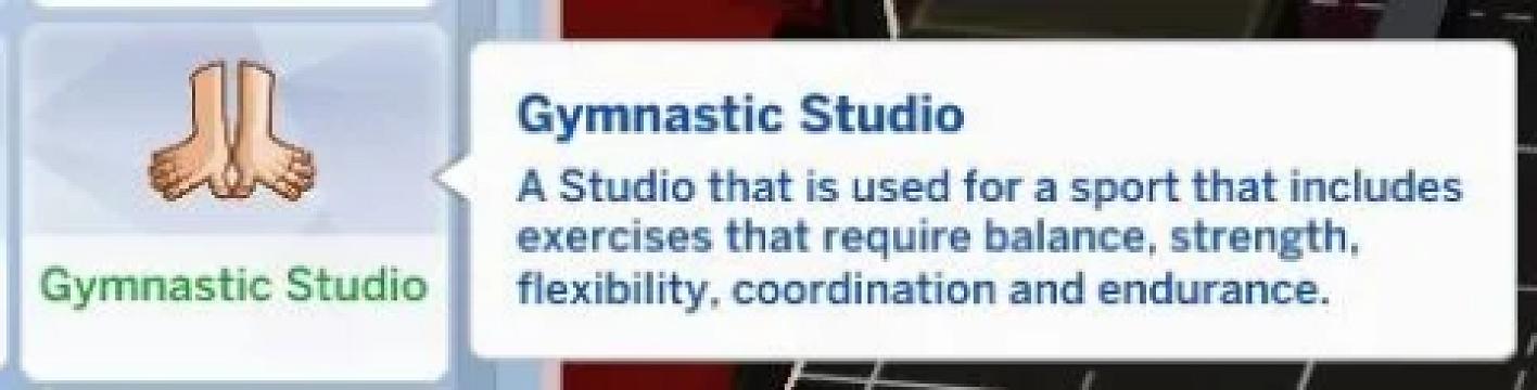 Gymnastic Studio Lot Trait
