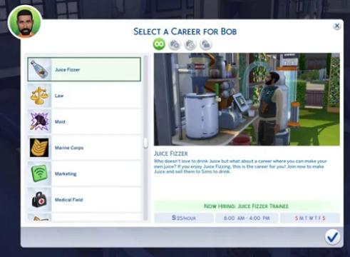 Juice Fizzer Career
