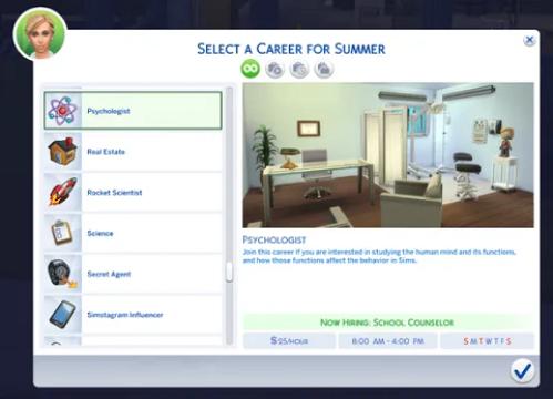 Psychologist Career