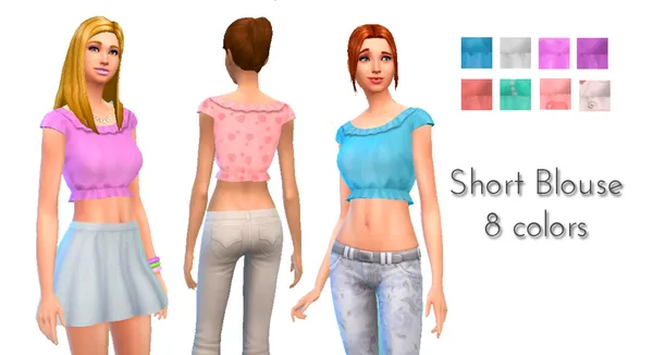 Short Blouse