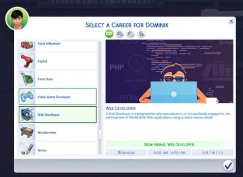 Web Developer (No Promotion)